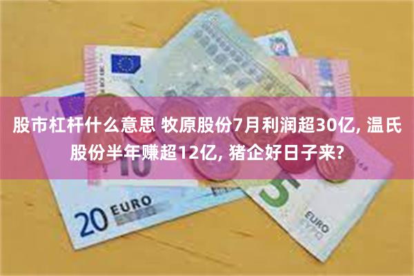 股市杠杆什么意思 牧原股份7月利润超30亿, 温氏股份半年赚超12亿, 猪企好日子来?