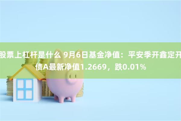 股票上杠杆是什么 9月6日基金净值：平安季开鑫定开债A最新净值1.2669，跌0.01%