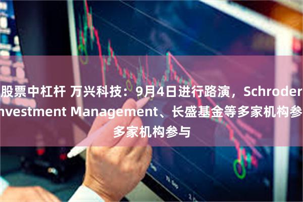 股票中杠杆 万兴科技：9月4日进行路演，Schroder Investment Management、长盛基金等多家机构参与