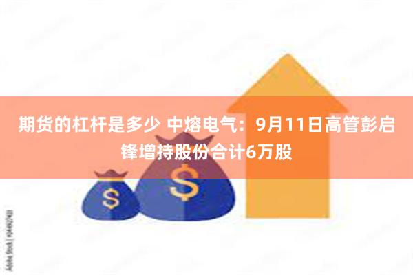 期货的杠杆是多少 中熔电气：9月11日高管彭启锋增持股份合计6万股