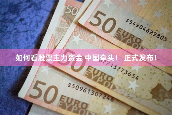 如何看股票主力资金 中国牵头！ 正式发布！