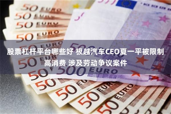 股票杠杆平台哪些好 极越汽车CEO夏一平被限制高消费 涉及劳动争议案件