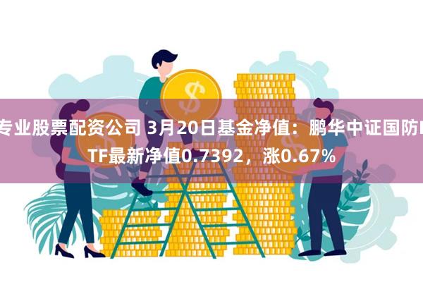 专业股票配资公司 3月20日基金净值：鹏华中证国防ETF最新净值0.7392，涨0.67%