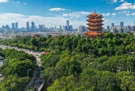 2021国产麻豆剧传媒免费-洞见2021，国产麻豆剧传媒免费新生态下的文化消费趋势