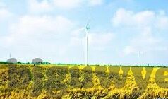 91麻豆短视频-91麻豆，重启健康与美学视角下的娱乐新世界