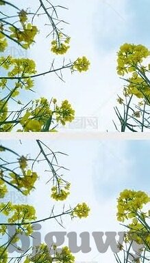 91麻豆国产亚洲永久-91麻豆——国产亚洲影视的独特魅力与持续探索