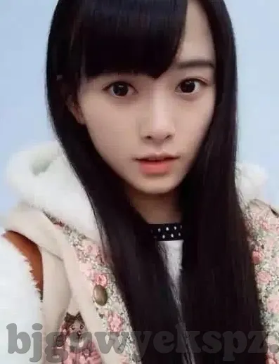 大象传媒欢迎回家-大象传媒，欢迎回家的温暖篇章