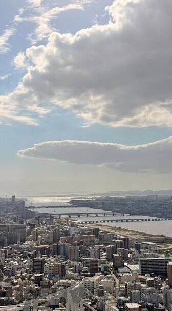 麻豆传媒视频免费播放-麻豆传媒视频的免费欣赏探讨，网络文化的新格局与挑战