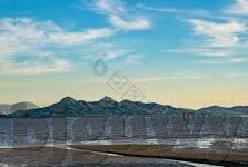 麻豆精东蜜桃果冻传媒-麻豆精东蜜桃果冻的奇妙旅程，一场感官与情感的盛宴