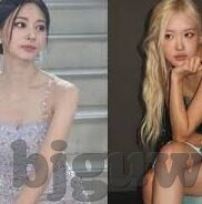 麻豆网上的免费刺激视频-探寻网络世界的真实面貌，网络视频内容的双刃剑