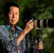 人妻一-探寻人妻角色背后的细腻情感与成长轨迹