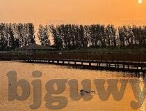 糖心国产传媒vlog入口-探索糖心国产传媒vlog的魅力世界，一场视觉与心灵的盛宴