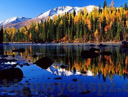 夜夜躁av麻豆男-夜的港湾，麻豆男在虚拟与现实的交织中寻觅自我